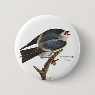 Macaron Rond 5 Cm Mississippi Kite, l'oiseau de John James Audubon B