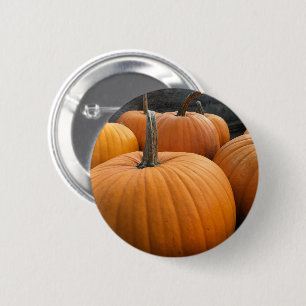 Macaron Rond 5 Cm Moisson d'automne Orange Citrouilles