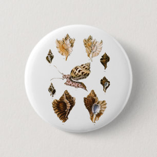 Macaron Rond 5 Cm Mollusques et Escargots, Organismes Marins Vintage