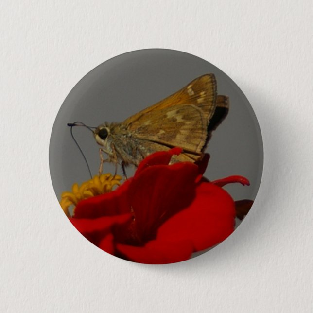 Macaron Rond 5 Cm Moth (Devant)
