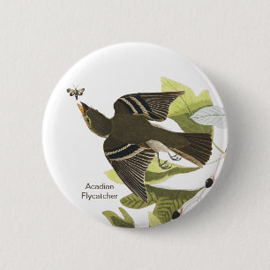 Macaron Rond 5 Cm Moucherolle acadien, John James Audubon Birdwatche