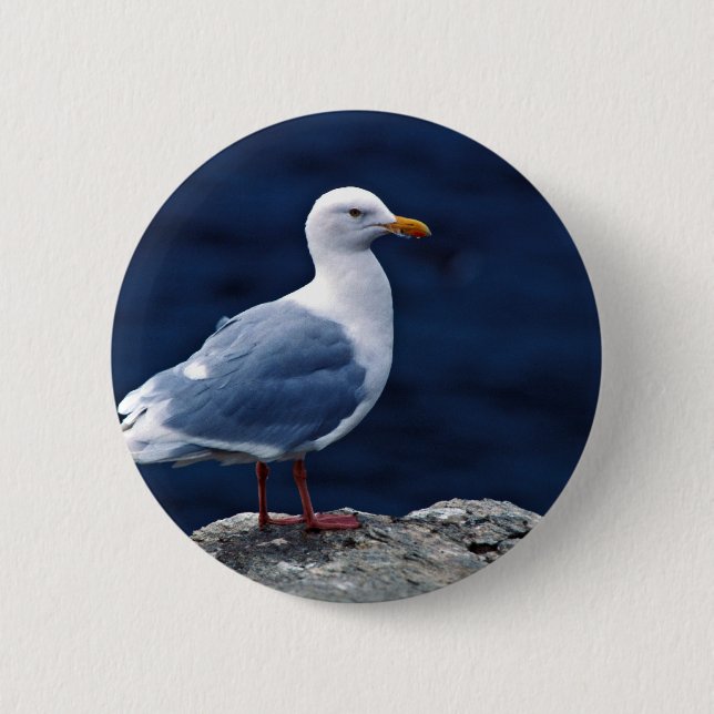 Macaron Rond 5 Cm Mouette Glaucous (Devant)