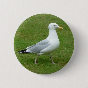 Macaron Rond 5 Cm Mouette marchant dans le parc