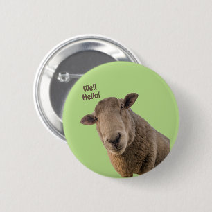 Macaron Rond 5 Cm Mouton