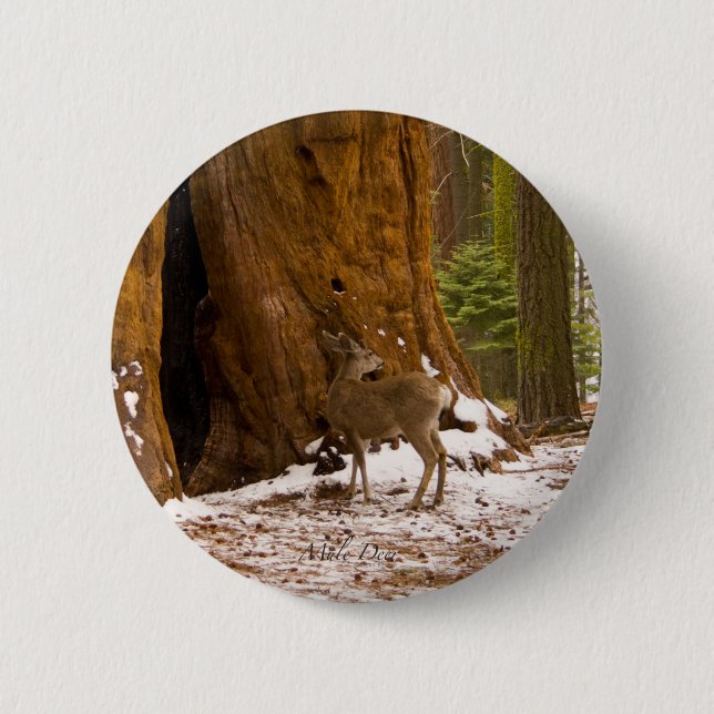 Macaron Rond 5 Cm Mule Deer (Devant)