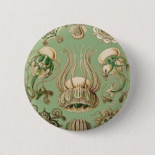 Macaron Rond 5 Cm Narcomedusae d'Ernst Haeckel