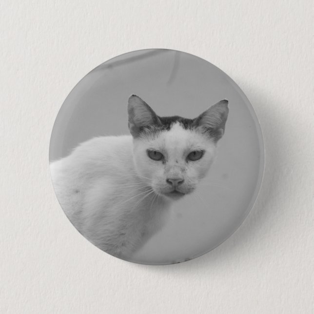 Macaron Rond 5 Cm Noir et blanc - Chat 02 (Devant)