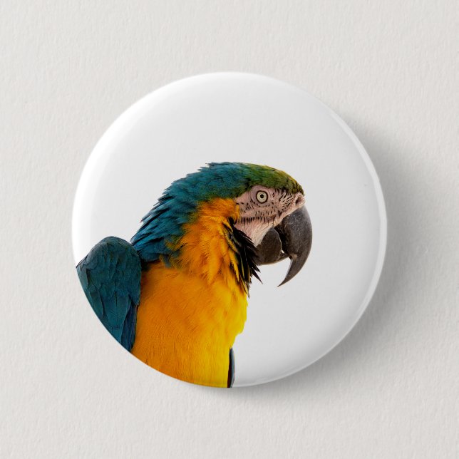 Macaron Rond 5 Cm Notes post-it de perroquet (Devant)