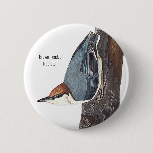 Macaron Rond 5 Cm Nuthatch à tête Brown, Audubon, Birders Bird Wea