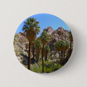 Macaron Rond 5 Cm Oasis Lost Palms I dans le parc national de Joshua