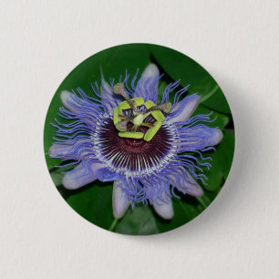 Macaron Rond 5 Cm Ocoee flower Passiflora caerulea Fleur de passion