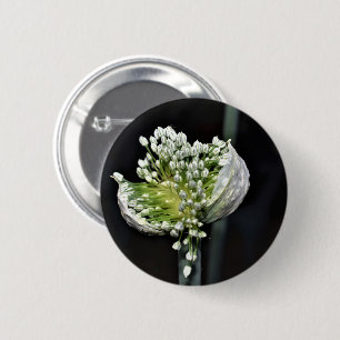 Macaron Rond 5 Cm Oignon de printemps
