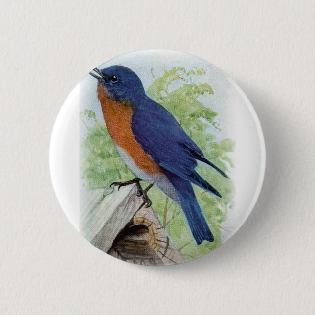 Macaron Rond 5 Cm Oiseau bleu (Devant)