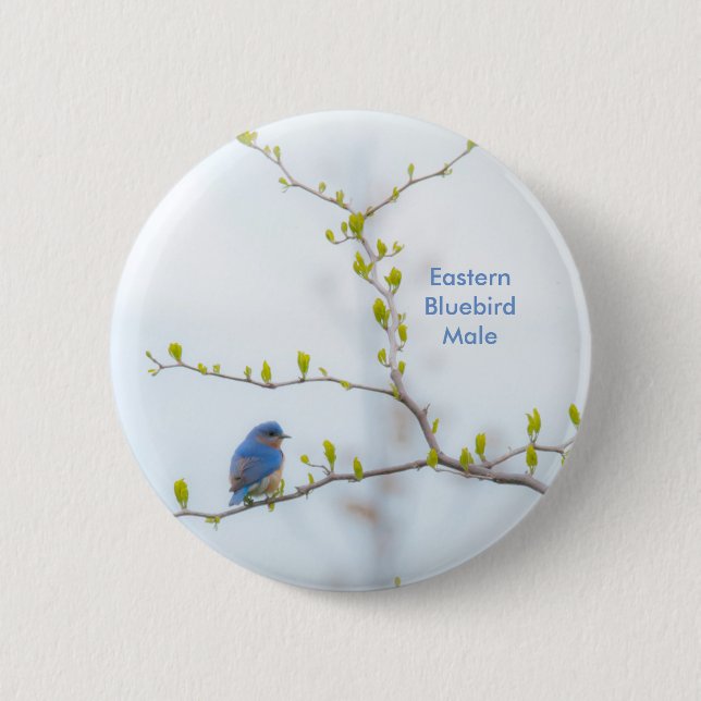 Macaron Rond 5 Cm Oiseau bleu oriental d'oiseau animal (Devant)