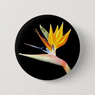 Macaron Rond 5 Cm Oiseau d'insigne d'usine de paradis