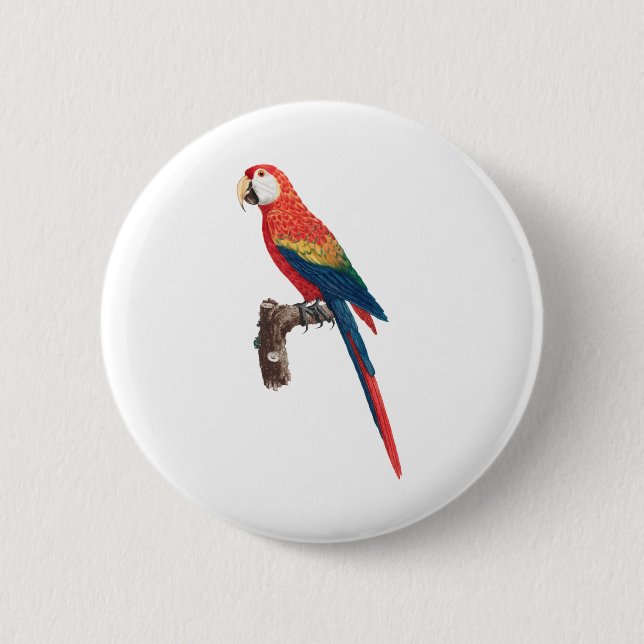 Macaron Rond 5 Cm Oiseau rouge de perroquets (Devant)