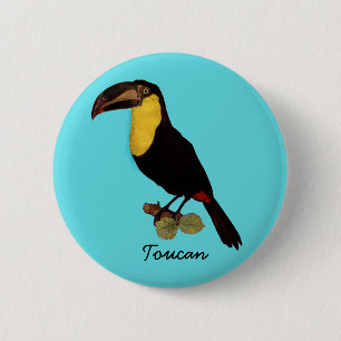 MACARON ROND 5 CM OISEAU VINTAGE DE TOUCAN. PIN DE TOUCAN DE