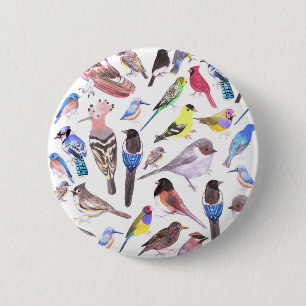 Macaron Rond 5 Cm Oiseaux d'Amérique - animaux domestiques et oiseau