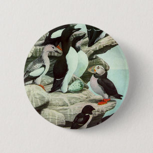 Macaron Rond 5 Cm Oiseaux Puffins et Aquatiques Vintage par Louis Fu