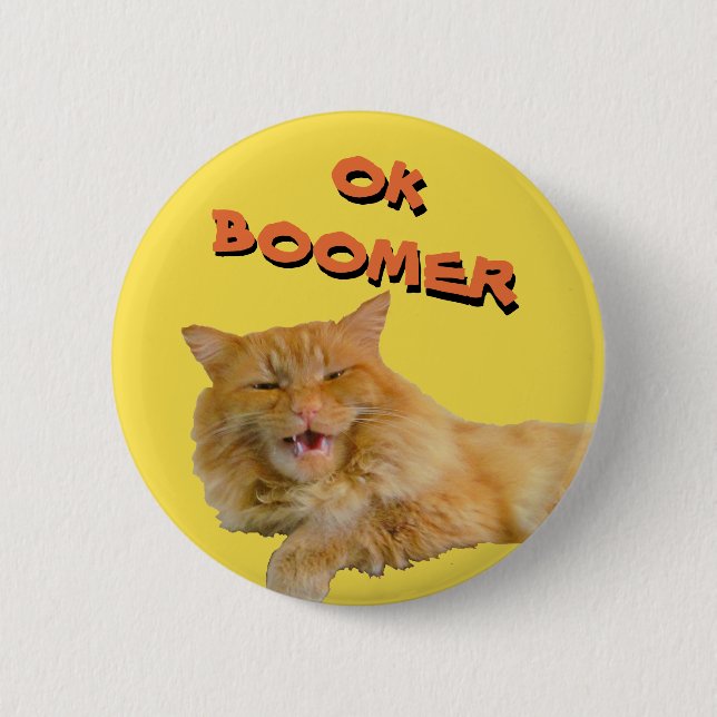 Macaron Rond 5 Cm Ok Boomer Parle Cat Meme (Devant)