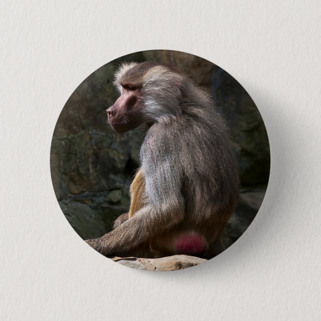 Macaron Rond 5 Cm Olive Baboon (Devant)