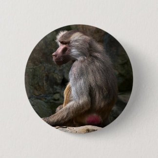 Macaron Rond 5 Cm Olive Baboon