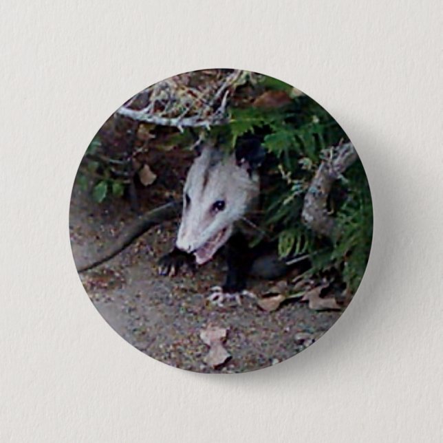 Macaron Rond 5 Cm Opossum sauvage (Devant)