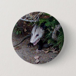 Macaron Rond 5 Cm Opossum sauvage