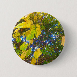 Macaron Rond 5 Cm Or