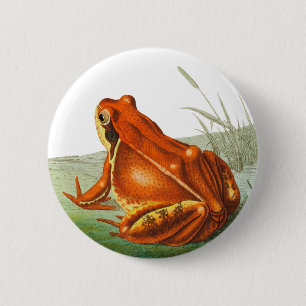Macaron Rond 5 Cm Orange frog vintage