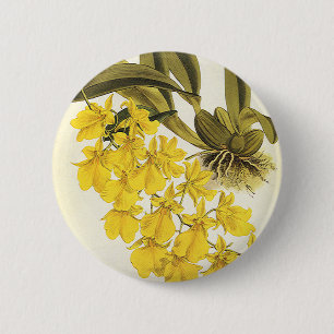 Macaron Rond 5 Cm Orchidée vintage Jaune Oncide, Fleurs Tropicales