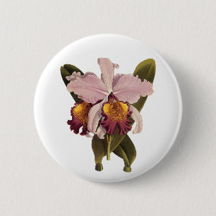 Macaron Rond 5 Cm Orchidée vintage violette Cattleya, Fleurs tropica