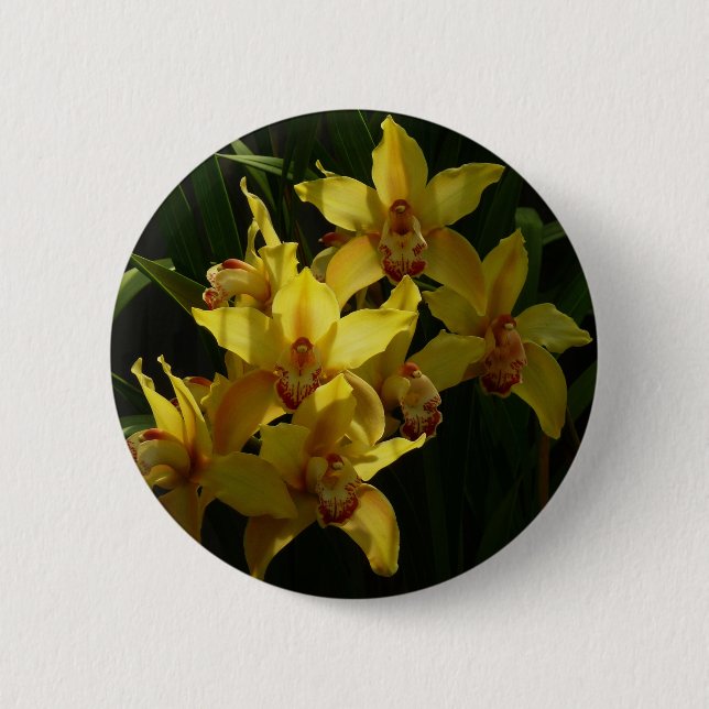 Macaron Rond 5 Cm Orchidées Jaunes Sunlit Floral (Devant)