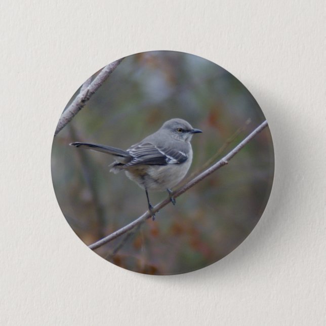 Macaron Rond 5 Cm Ornithologie de moqueur (Devant)
