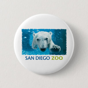 Macaron Rond 5 Cm Ours blanc de zoo de San Diego