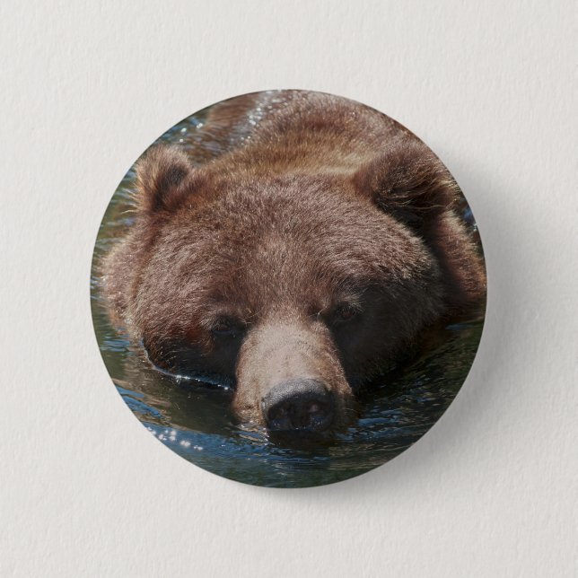 Macaron Rond 5 Cm Ours grizzly (Devant)