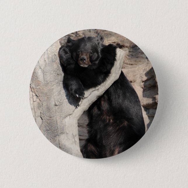 Macaron Rond 5 Cm Ours noir asiatique (Devant)
