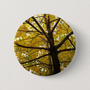Macaron Rond 5 Cm Paire d'érables jaunes Nature d'automne
