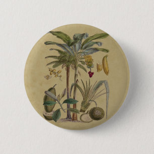 Macaron Rond 5 Cm Palm Antique Fruit Tropical Art Botanique