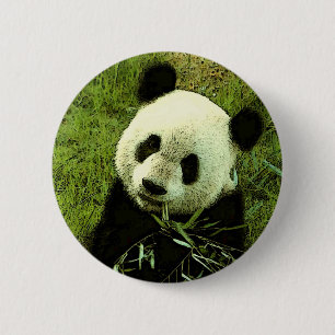 Macaron Rond 5 Cm Panda