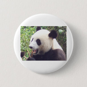 Macaron Rond 5 Cm Panda