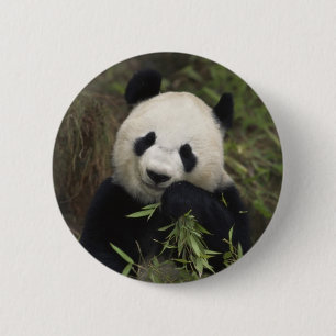 Macaron Rond 5 Cm Panda géant mignon