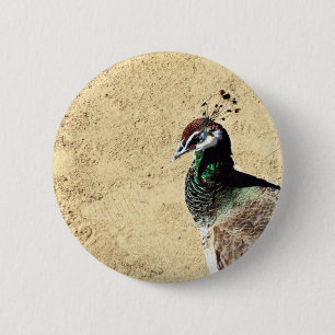 Macaron Rond 5 Cm Paon