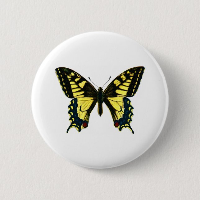 Macaron Rond 5 Cm Papilio machaon (Devant)