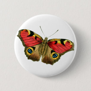 Macaron Rond 5 Cm Papillon coloré