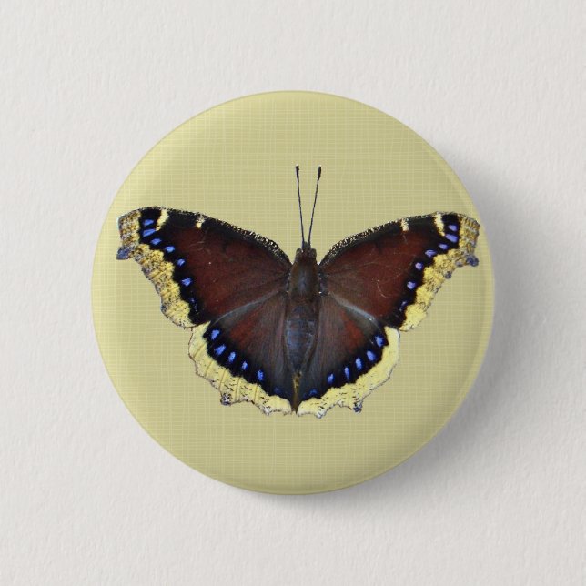 Macaron Rond 5 Cm Papillon de manteau de deuil - antiopa de (Devant)