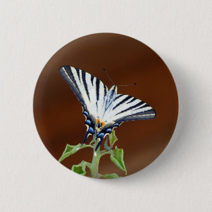 Macaron Rond 5 Cm Papillon fantail rayé noir et blanc