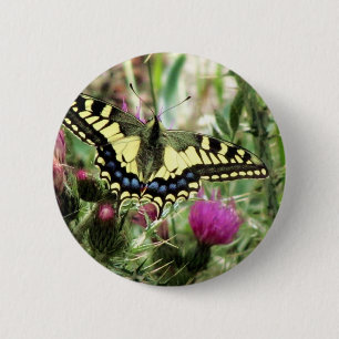 Macaron Rond 5 Cm Papillon jaune pâle et bleu