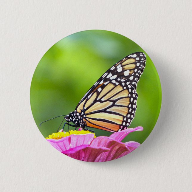 Macaron Rond 5 Cm Papillon monarque (Devant)