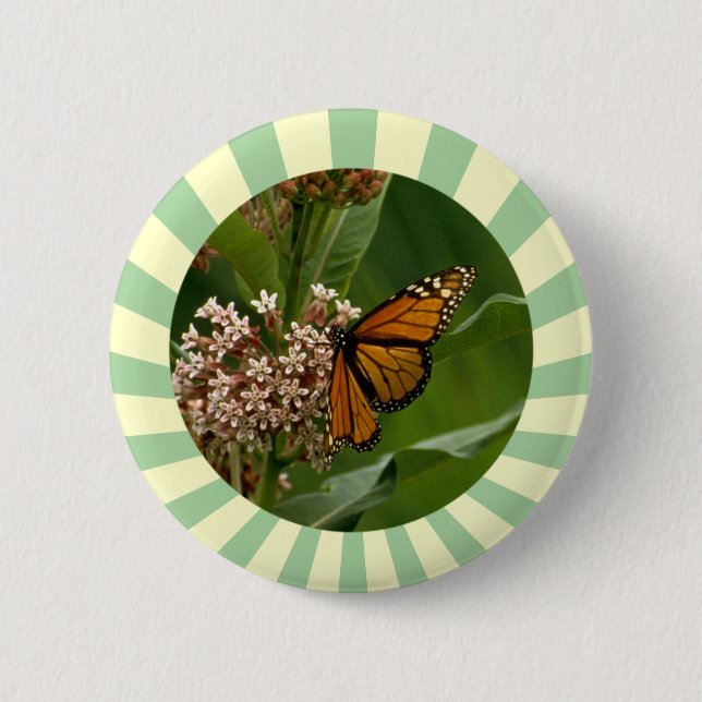 Macaron Rond 5 Cm Papillon monarque (Devant)